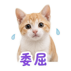 貼圖 8