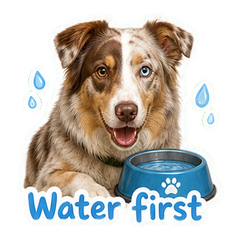 Sticker 6
