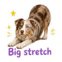 Sticker 11