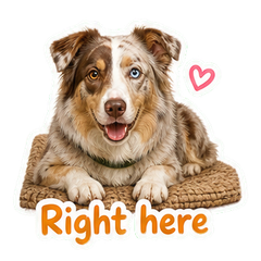 Sticker 9