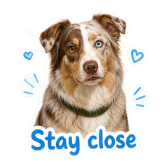 Sticker 10
