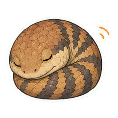 表情 8