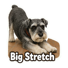Sticker 10