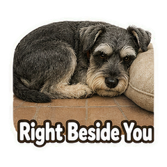 Sticker 11