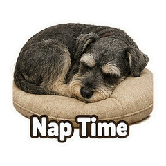 Sticker 12