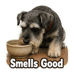 Sticker 5