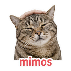 Spanish Pet Reactions #2