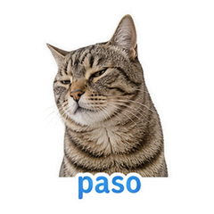 Spanish Pet Reactions #3