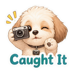 Pet Video Chaos Stickers #4