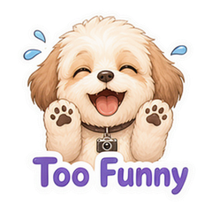 Sticker 11