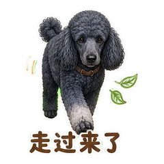 表情 7