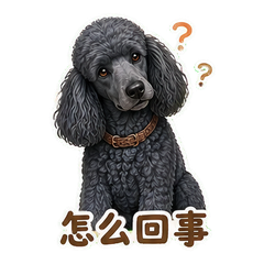 表情 9