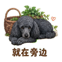 表情 11