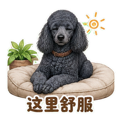 表情 8