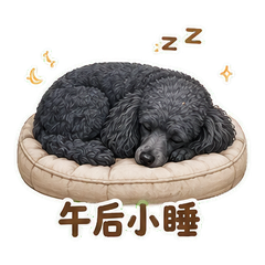 表情 12