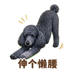 表情 10
