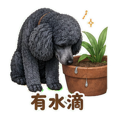 表情 5
