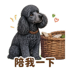 表情 6