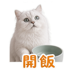 貼圖 11