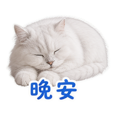貼圖 12