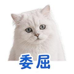 貼圖 8