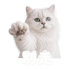 貼圖 10