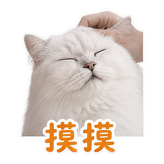 寵物日常 貼圖 2