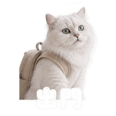 貼圖 6