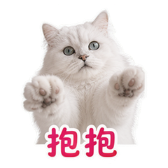 貼圖 5