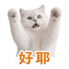 貼圖 7