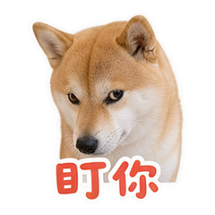 貼圖 9