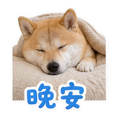 貼圖 12