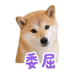 貼圖 8