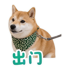 貼圖 6