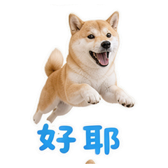 貼圖 7