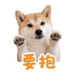 貼圖 5