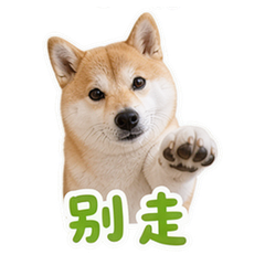 貼圖 10