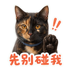 表情 6