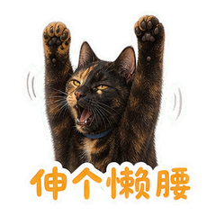 表情 11