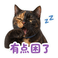 表情 9