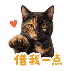 表情 5