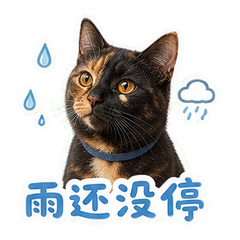 雨窗边的琥珀 sticker 4