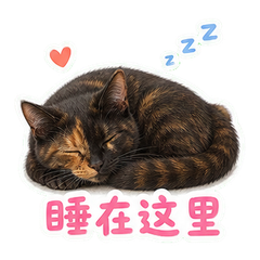 表情 12