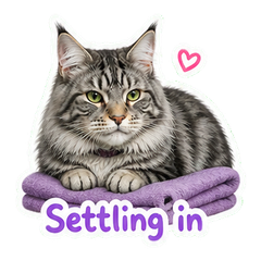 Sticker 7