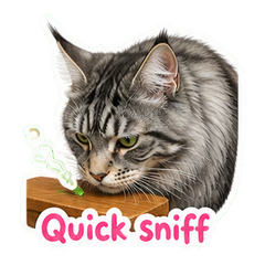 Sticker 3