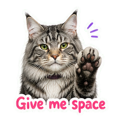 Sticker 8