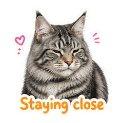 Sticker 9