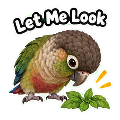 Pico by the Herb Shelf #1