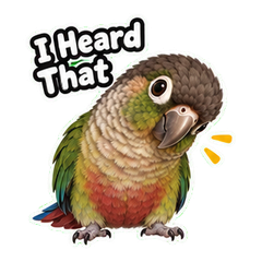 Pico by the Herb Shelf #2