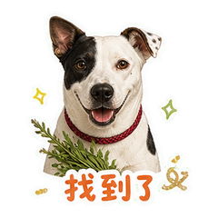 表情 5